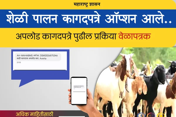 Sheli palan yojana 2025